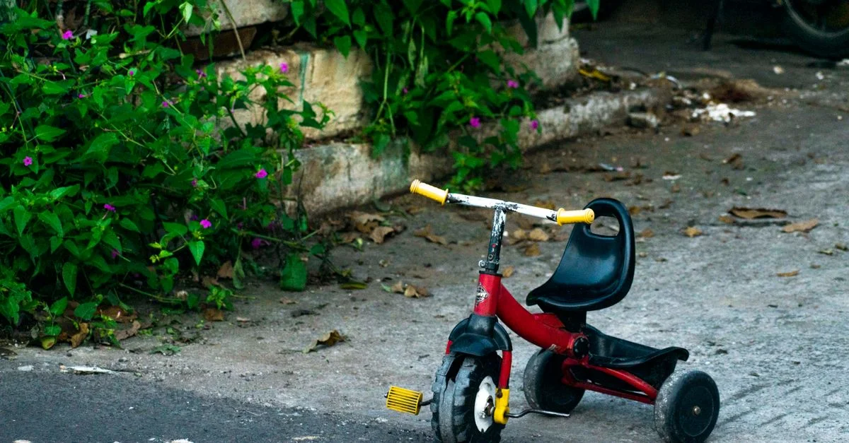Tricycle rouge repose sur le béton à côté de plantes vertes luxuriantes avec des fleurs violettes.