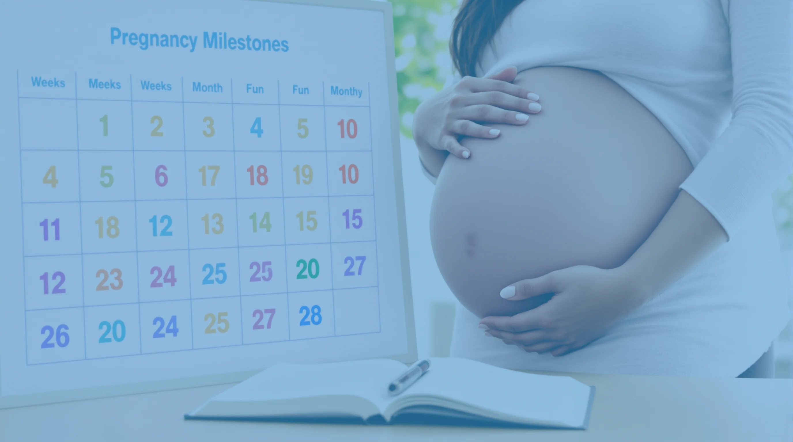 Semanas meses embarazo: ¿cómo convertir semanas a meses con facilidad?