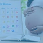 semanas meses embarazo