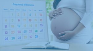 semanas meses embarazo