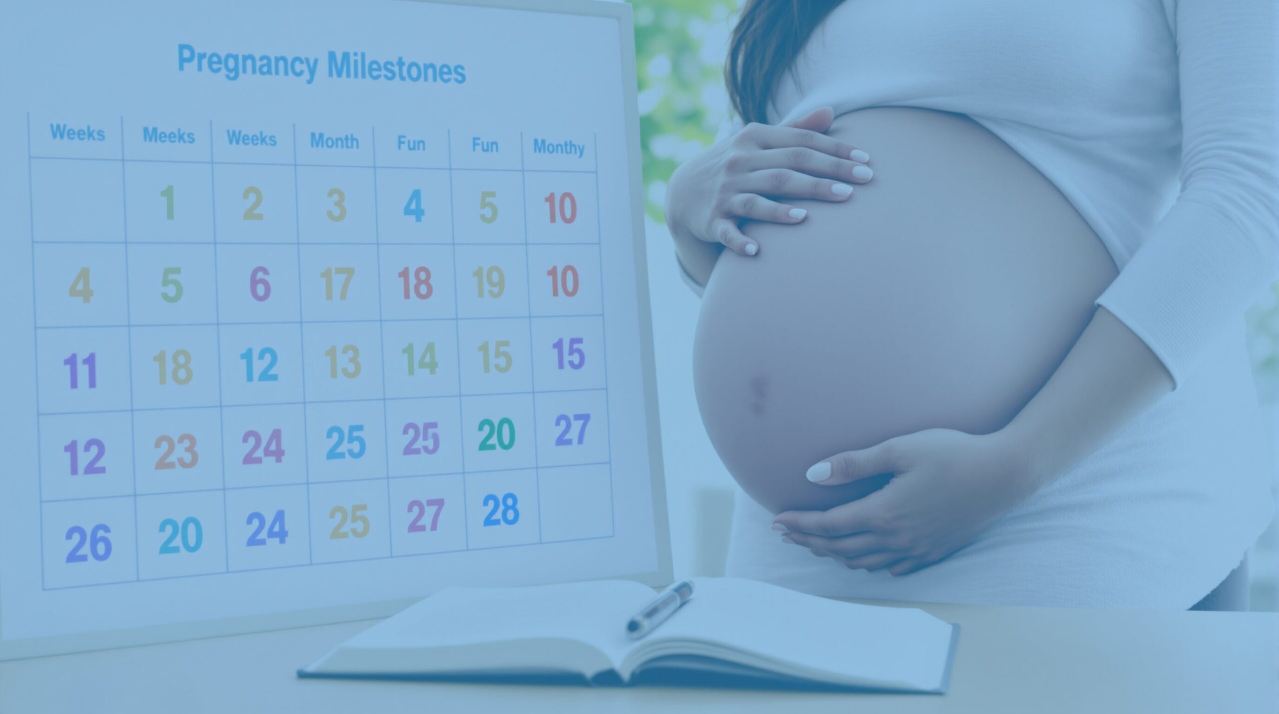 semanas meses embarazo