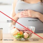 que no puede comer una embarazada